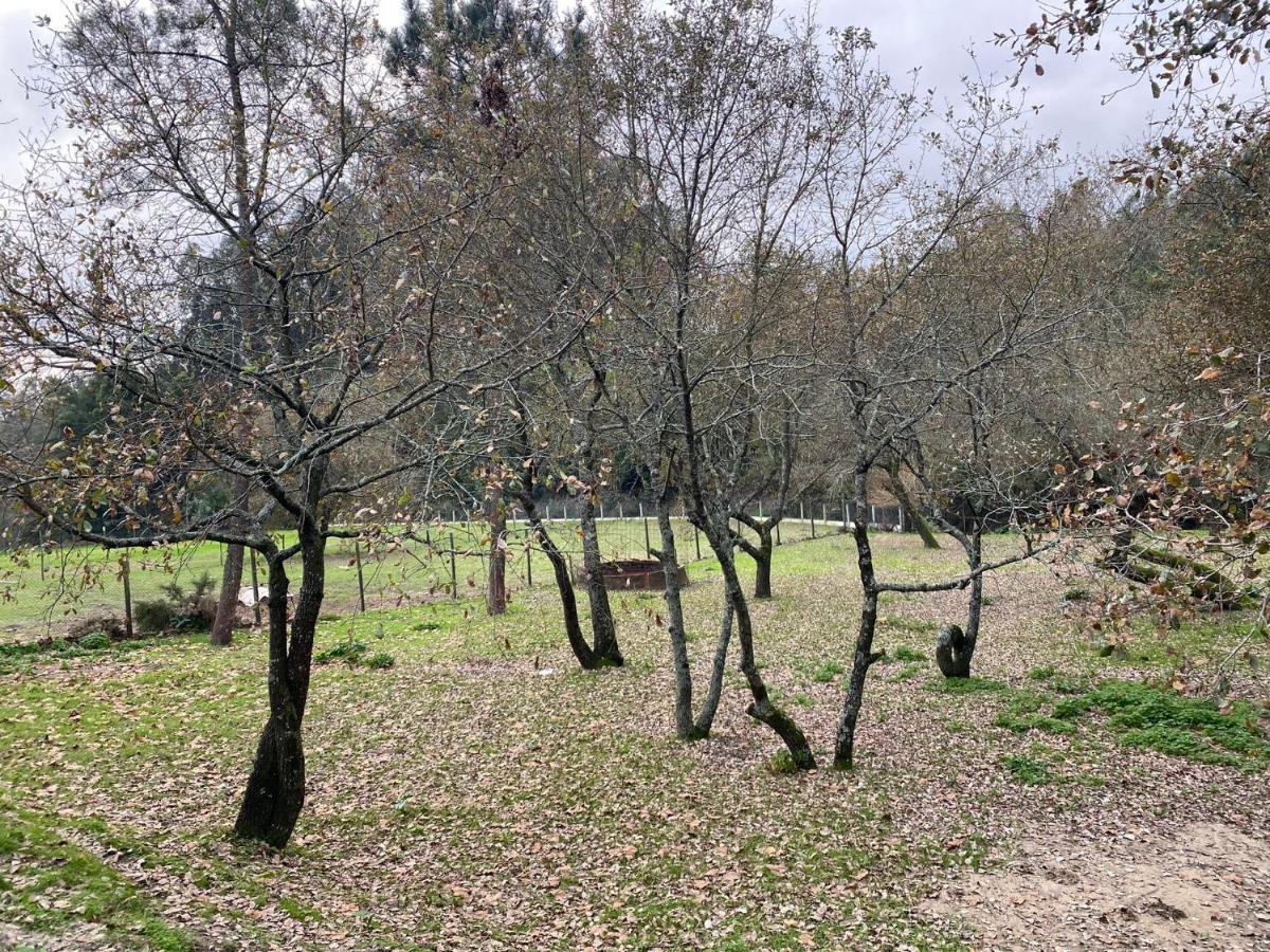 Quinas Playground Villa Souto da Carpalhosa Luaran gambar